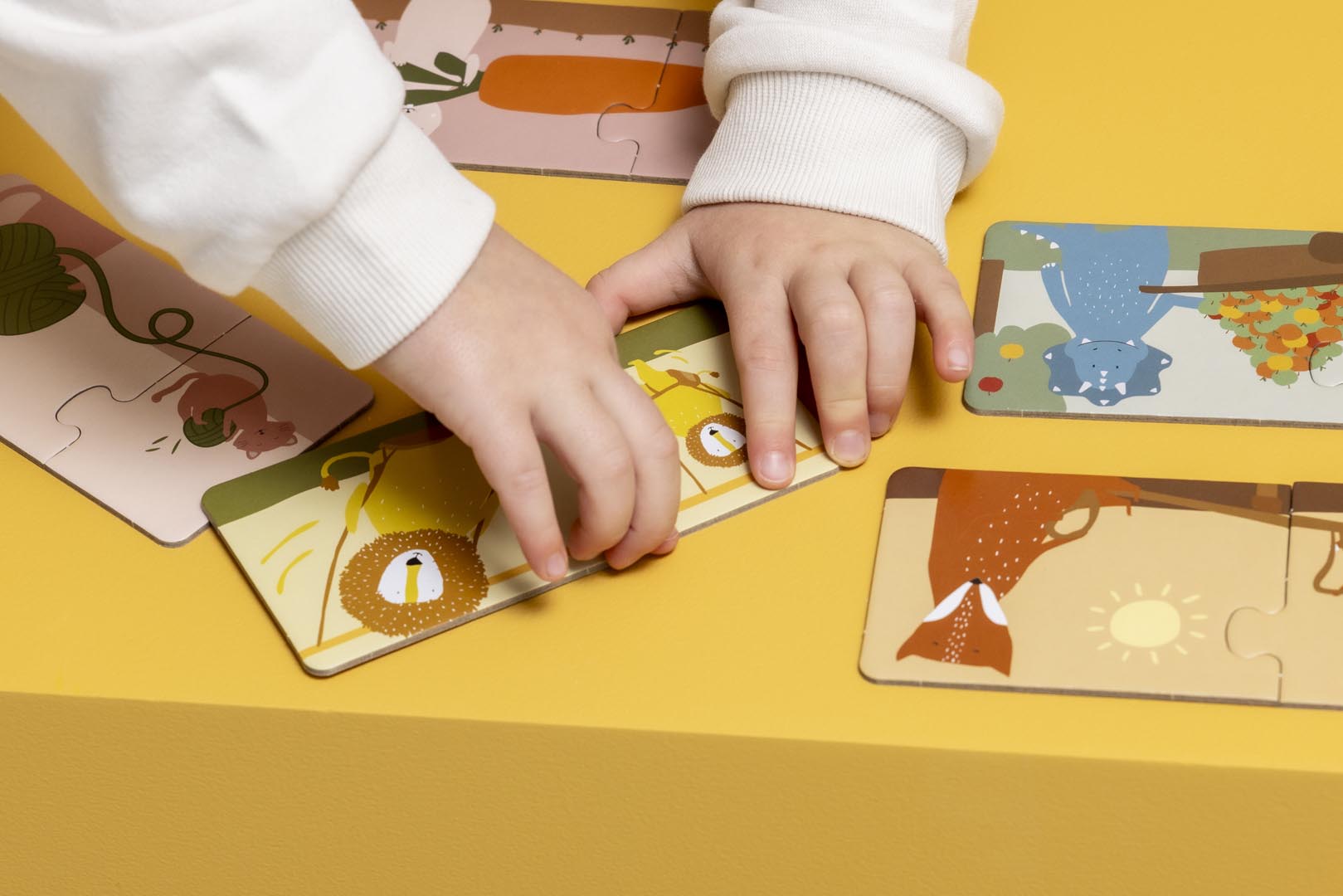 Puzzle box - Matching animals - 10 duo puzzles